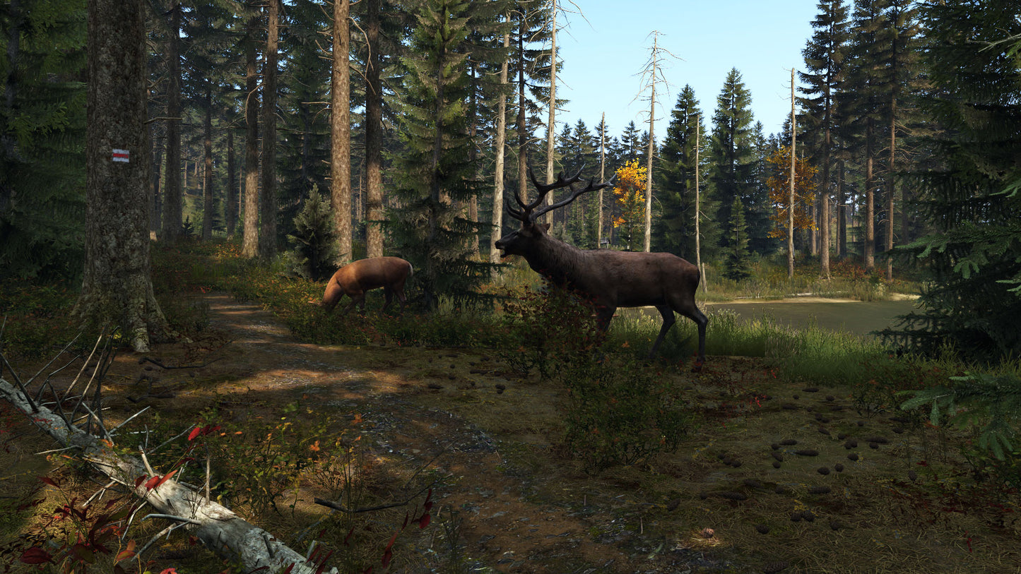 DAYZ LIVONIA DIGITAL STEAM KEY