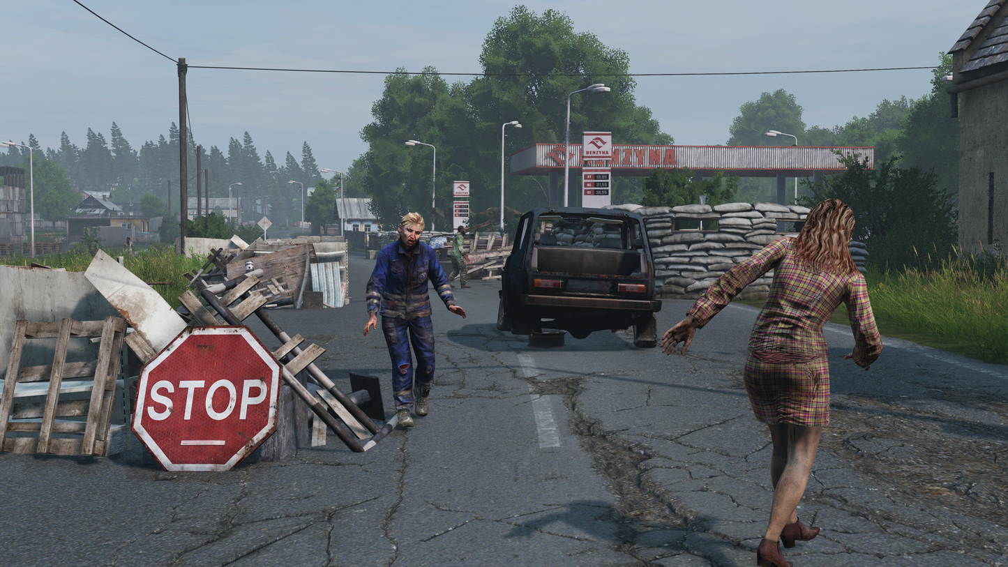 DAYZ DELUXE EDITION | DIGITAL STEAM KEY