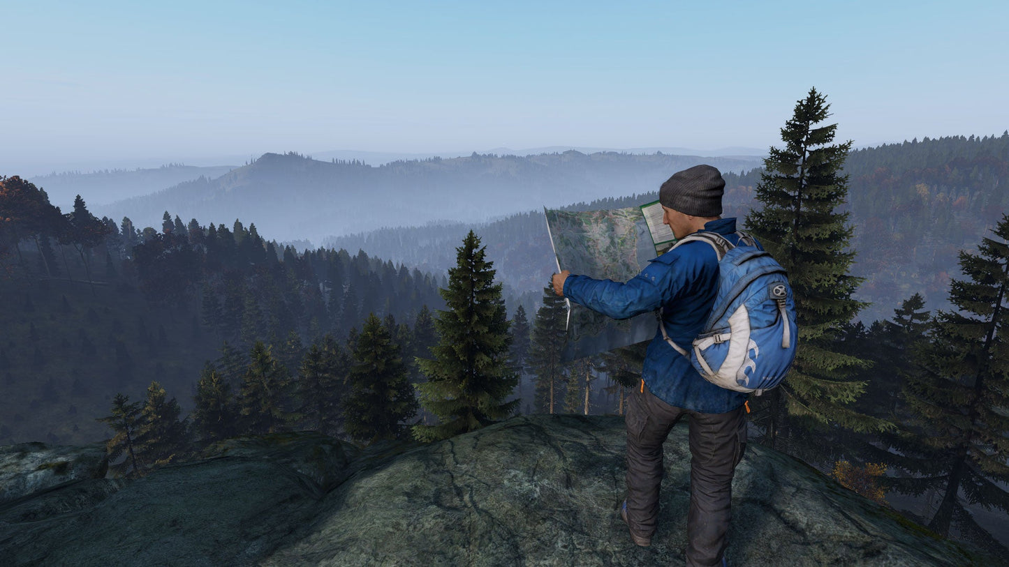 DAYZ DELUXE EDITION | DIGITAL STEAM KEY