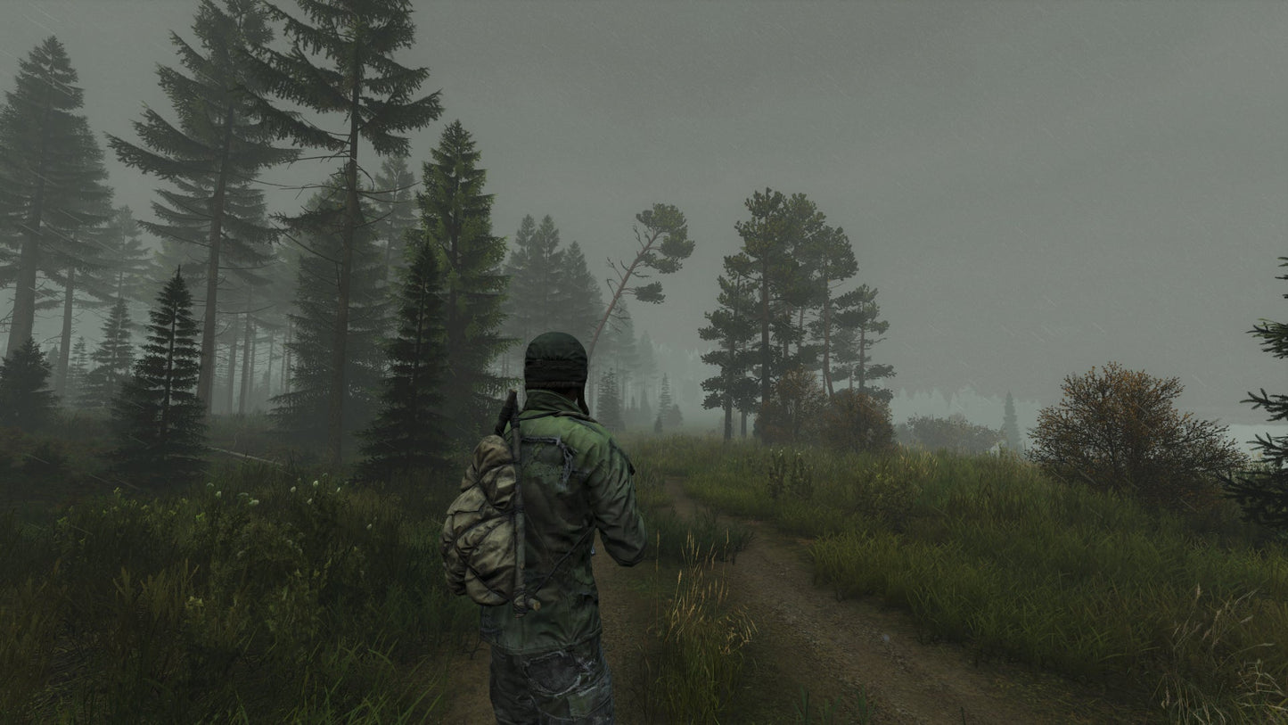 DAYZ DELUXE EDITION | DIGITAL STEAM KEY