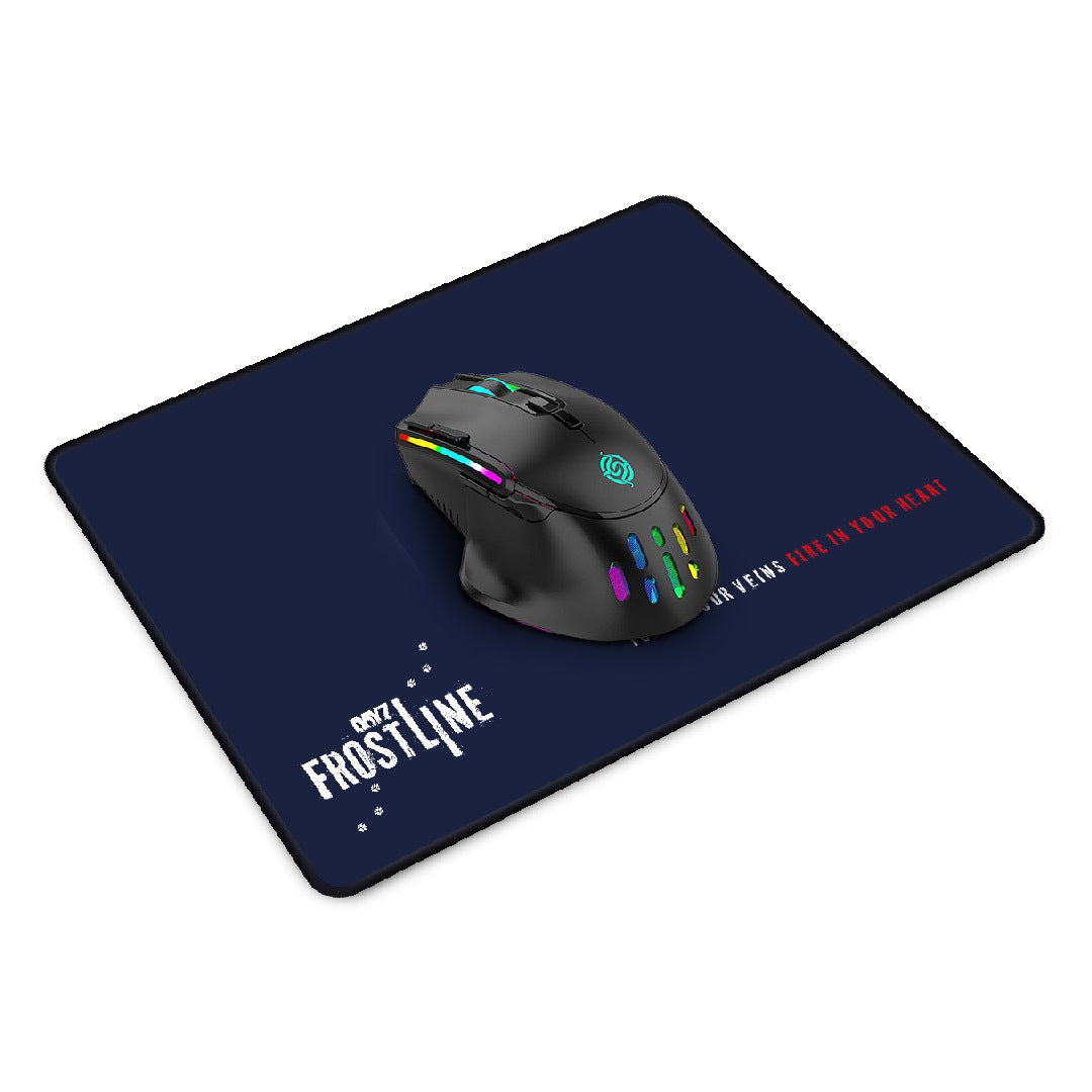 DAYZ FROSTLINE - ALFOMBRILLA DE RATÓN PEQUEÑA | 350X250MM