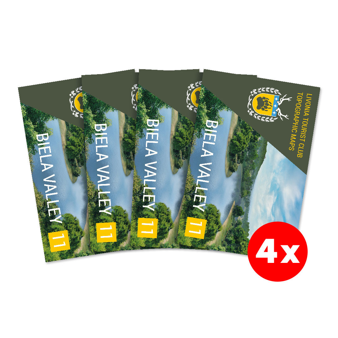 DAYZ - PAQUETE DE 4 MAPAS IMPRESOS DE LIVONIA