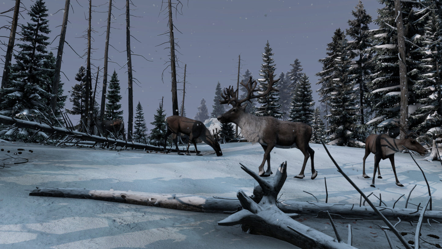 DAYZ FROSTLINE - CLAVE DIGITAL DE STEAM DLC