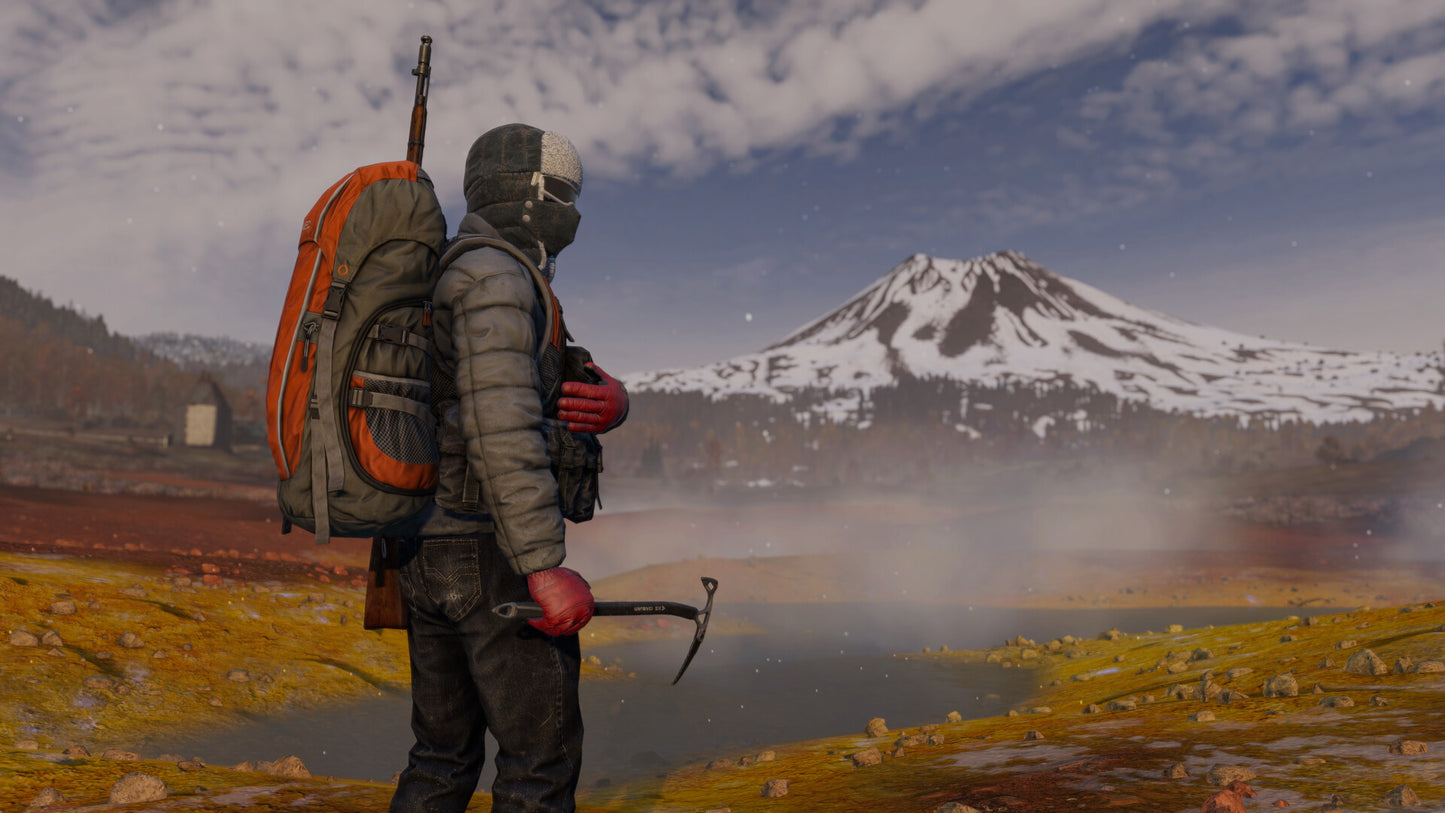 DAYZ FROSTLINE - CLAVE DIGITAL DE STEAM DLC