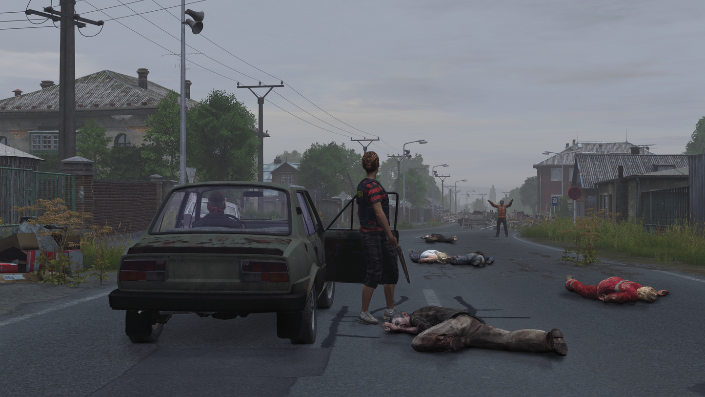 DAYZ DELUXE EDITION | DIGITAL STEAM KEY