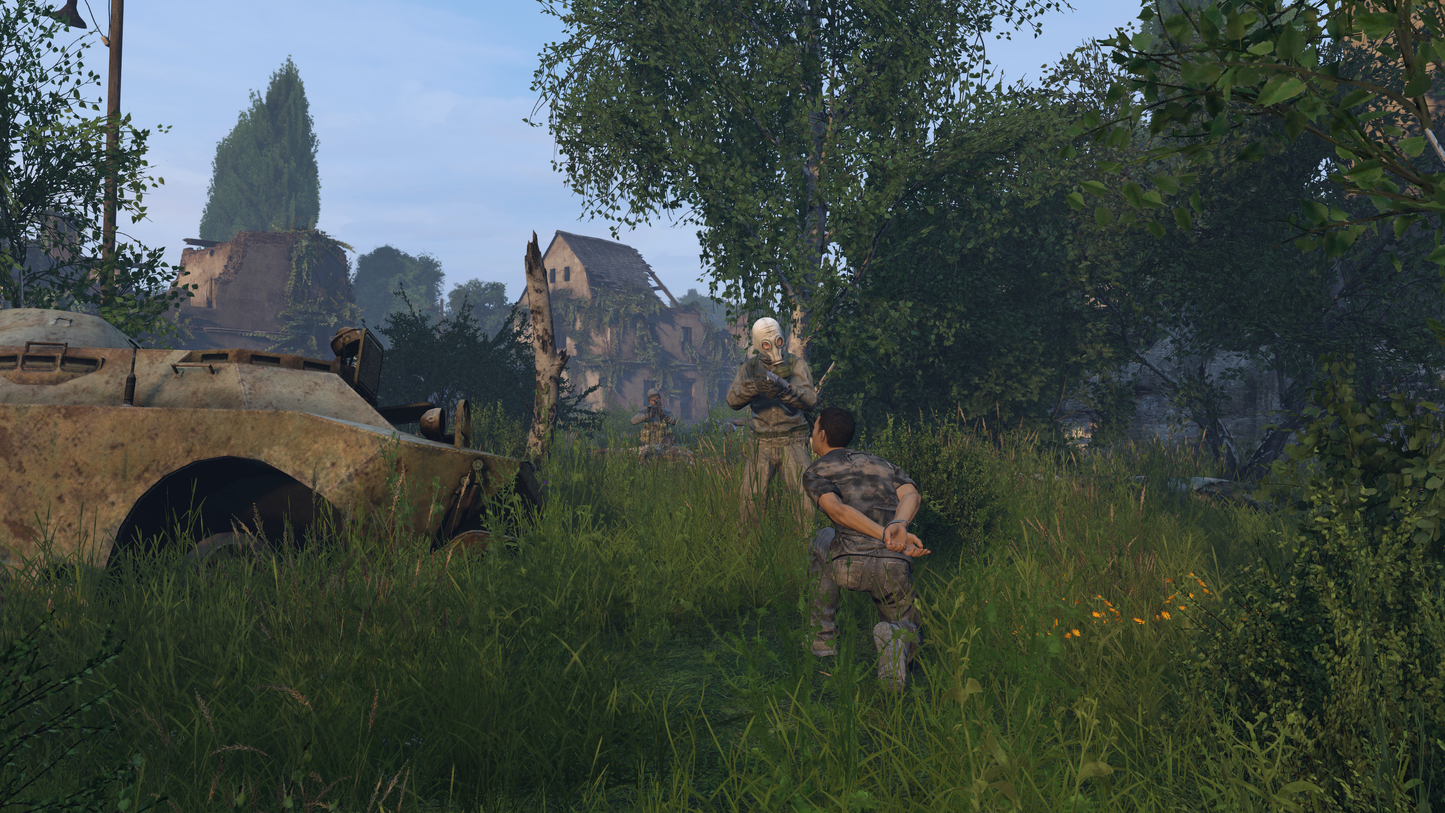 DAYZ DELUXE EDITION | DIGITAL STEAM KEY