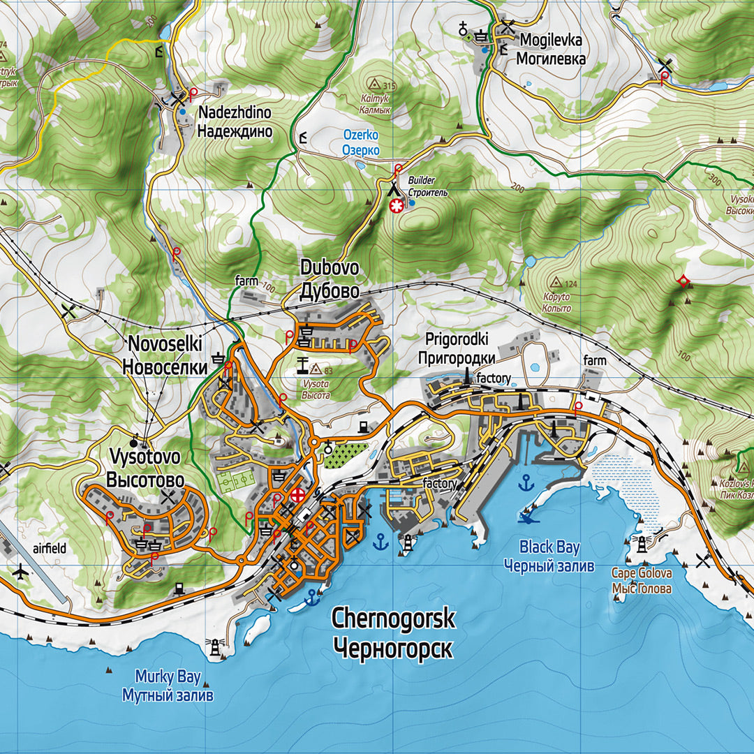 DAYZ - CHERNARUS PRINTED MAP