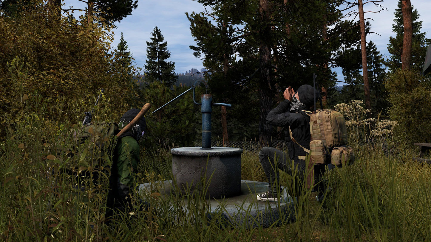 DAYZ DIGITAL STEAM KEY