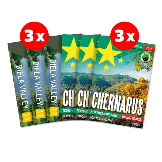 DAYZ CHERNARUS + LIVONIA PRINTED MAPS BUNDLE 3-PACK (6 MAPS)