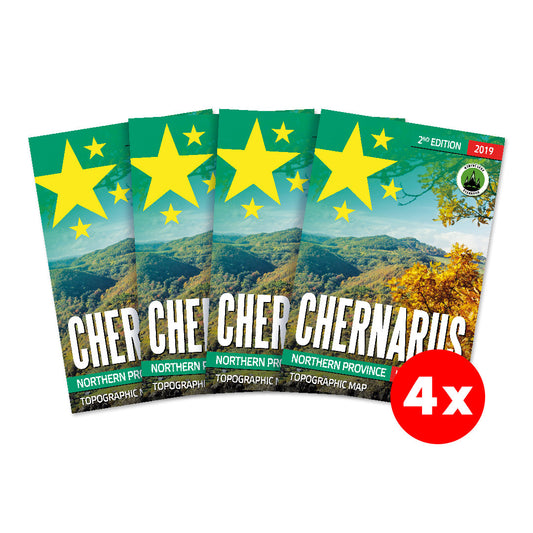 DAYZ - CHERNARUS PRINTED MAP 2025 EDITION 4-PACK