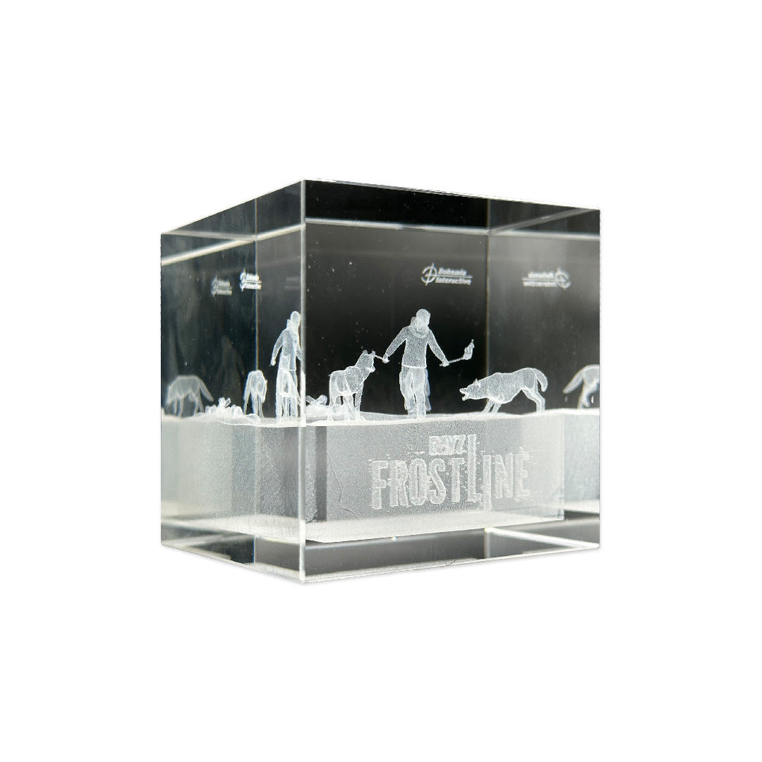 DAYZ FROSTLINE COLLECTORS EDITION